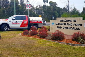 Summerland Point & Gwandalan Pest Control, NSW